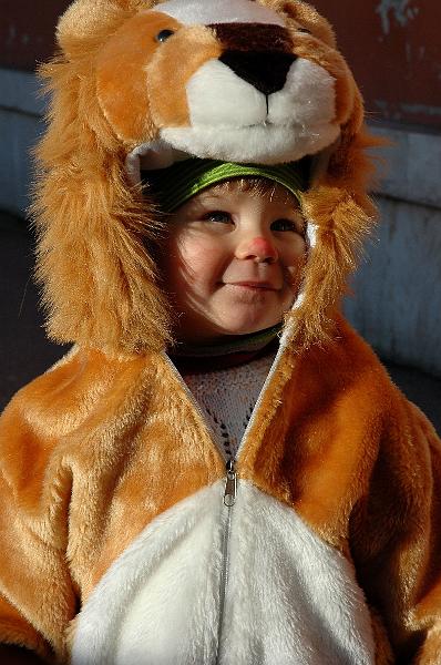 50-diciotto mesi.jpg